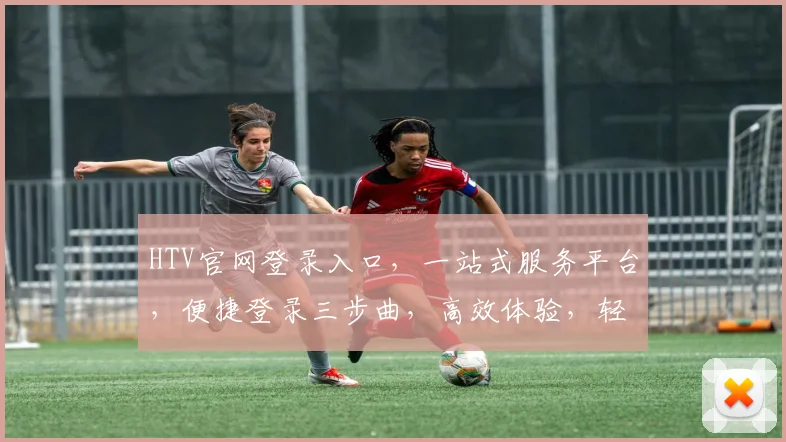 HTV官网登录入口，一站式服务平台，便捷登录三步曲，高效体验，轻松访问