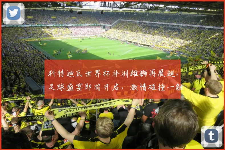科特迪瓦世界杯非洲雄狮再展翅，足球盛宴即将开启，激情碰撞一触即发