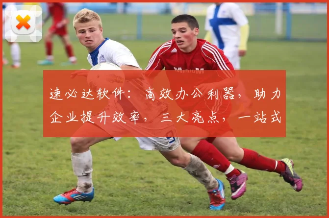 速必达软件：高效办公利器，助力企业提升效率，三大亮点，一站式解决方案，值得信赖