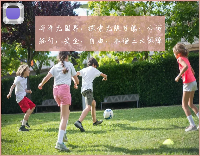海洋无国界，探索无限可能，公海航行，安全、自由、和谐三大保障，共筑蓝色梦想。