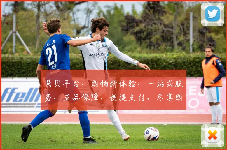 易贝平台，购物新体验，一站式服务，正品保障，便捷支付，尽享购物乐趣，三大优势，值得信赖