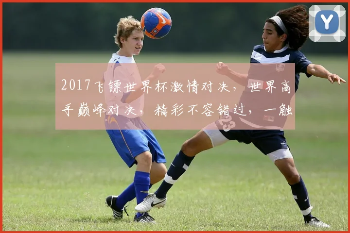 2017飞镖世界杯激情对决，世界高手巅峰对决，精彩不容错过，一触即发